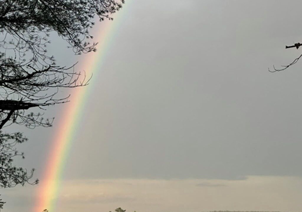 Photo of Others in Fayette