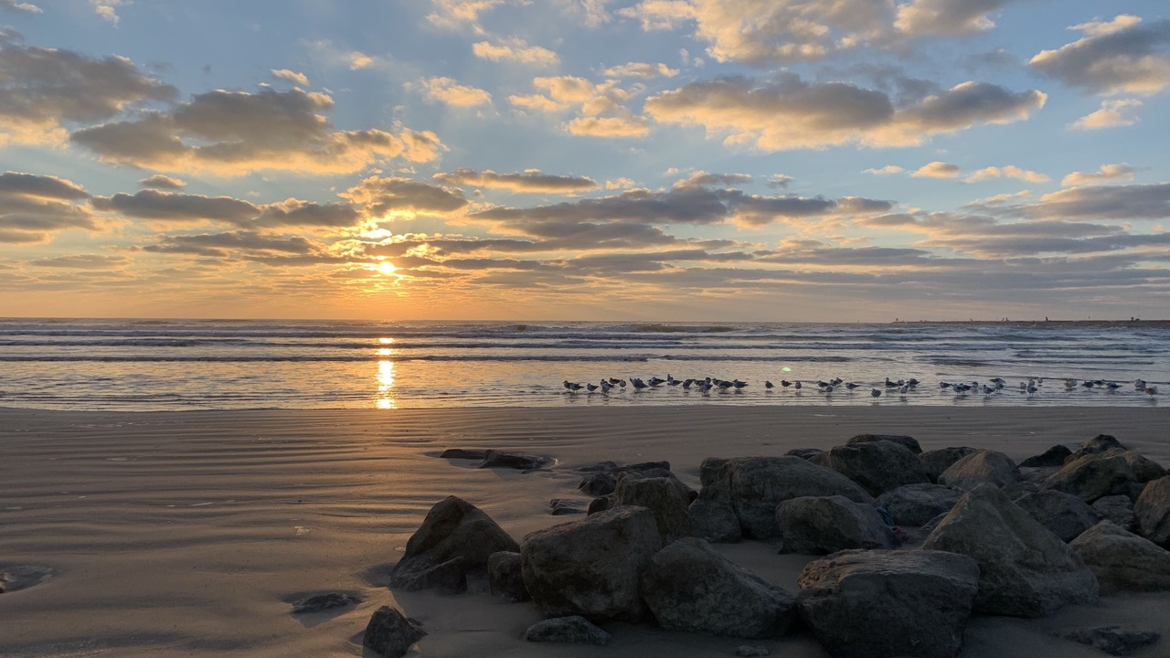 Photo of Others in Surfside Beach