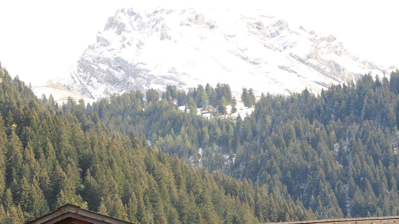Photo of Others in Lenk
