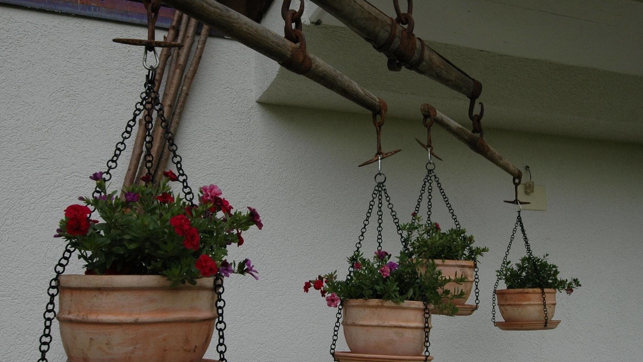 Photo of Others in Lenk