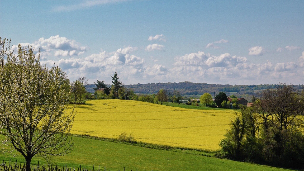 Photo of Others in Roussines