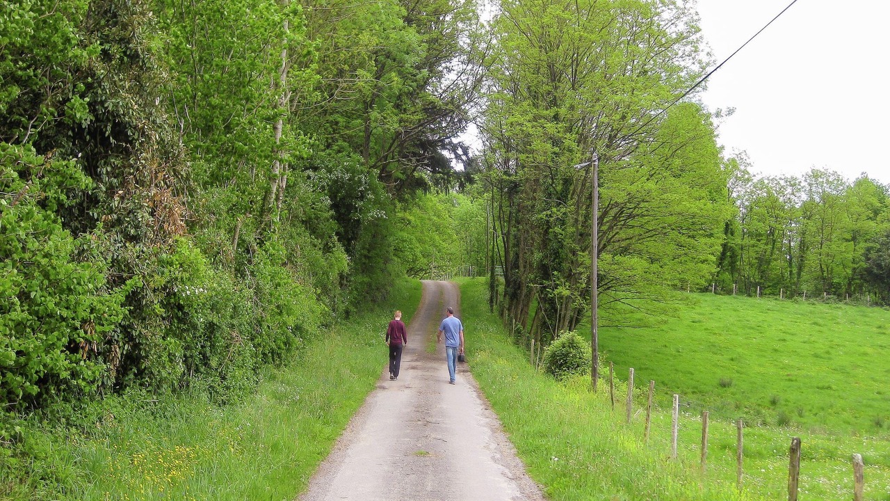 Photo of Others in Roussines