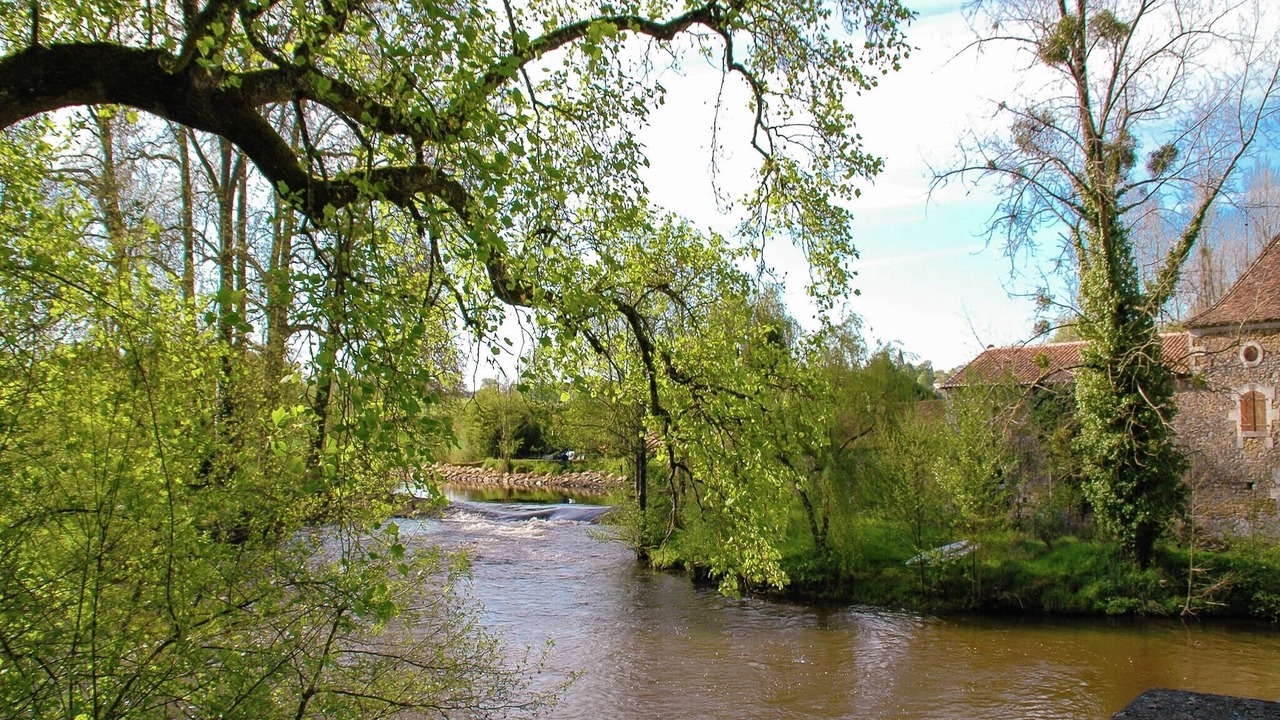 Photo of Others in Roussines