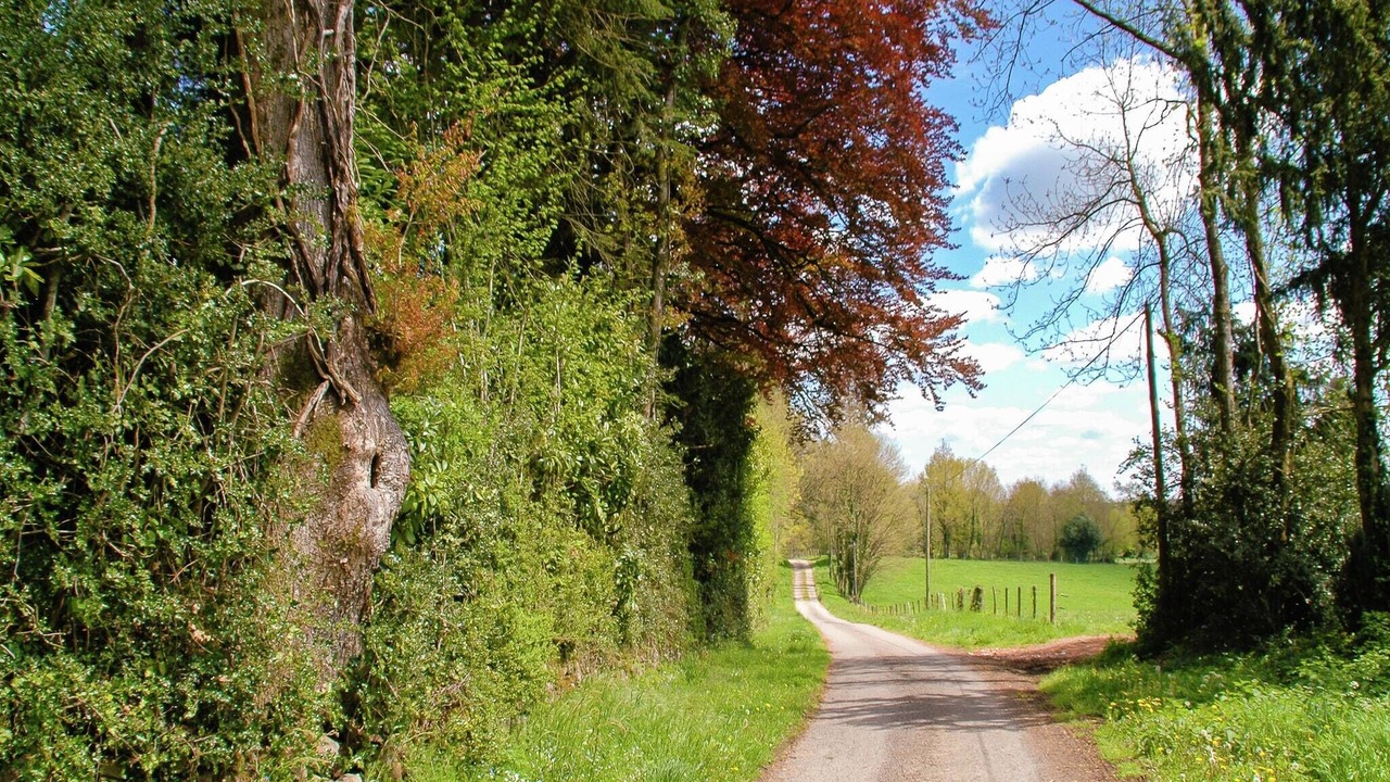 Photo of Others in Roussines