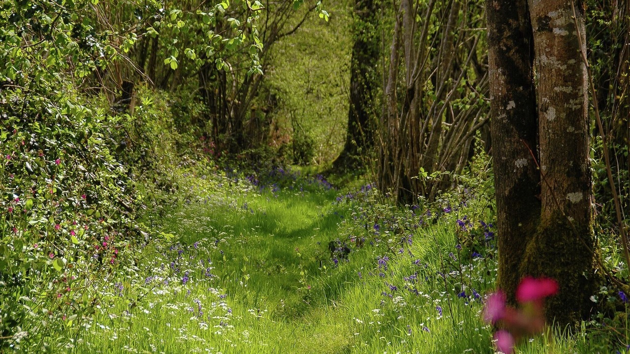 Photo of Others in Roussines