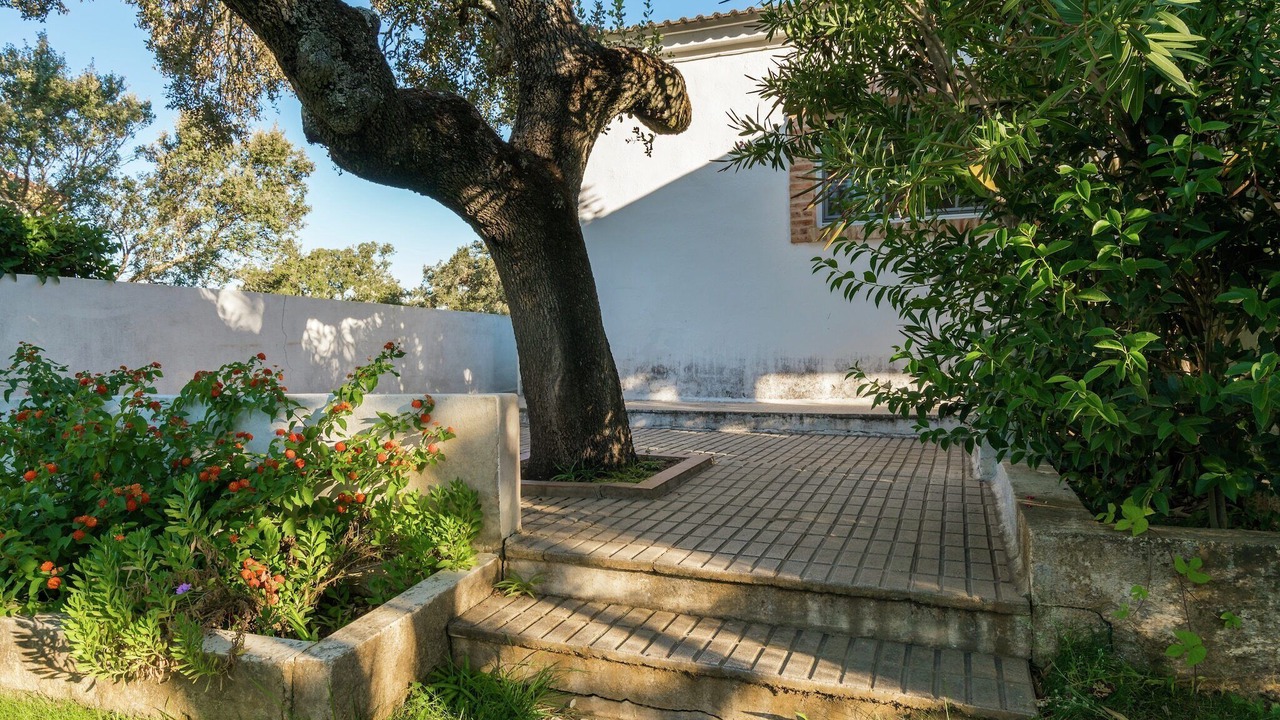 Photo of Outdoor in Herrera de Alcantara