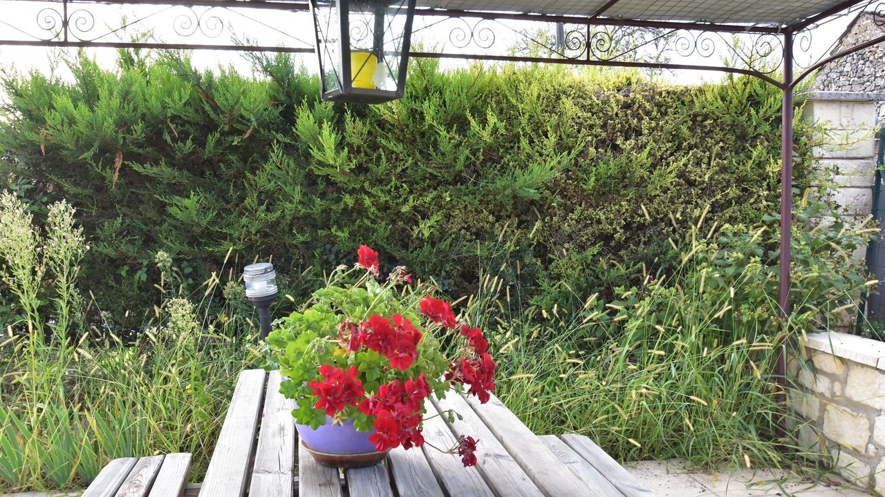 Photo of Patio Balcony in Montclera