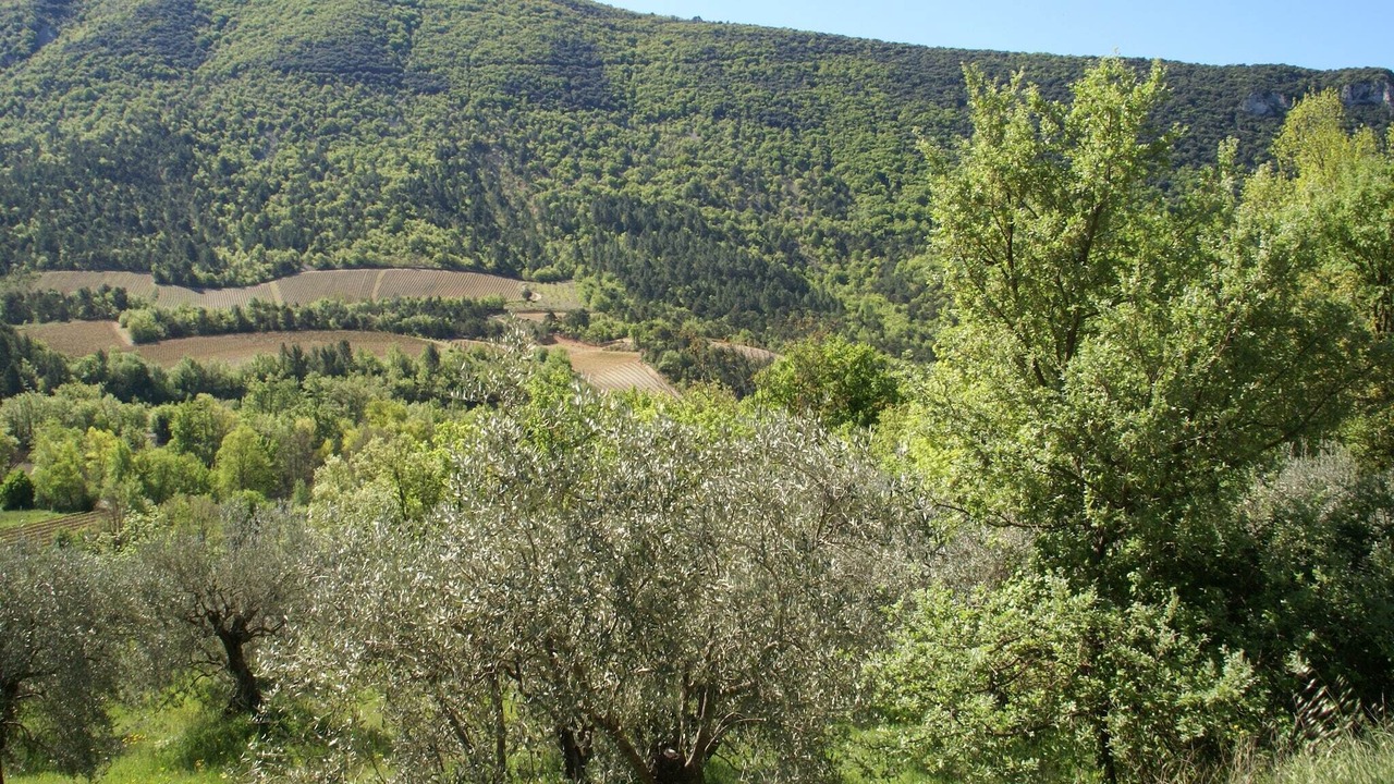 Photo of Others in Montbrun-les-Bains