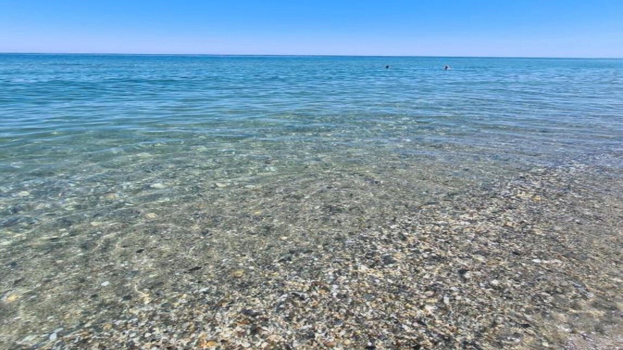 Photo of Others in Taglio-Isolaccio