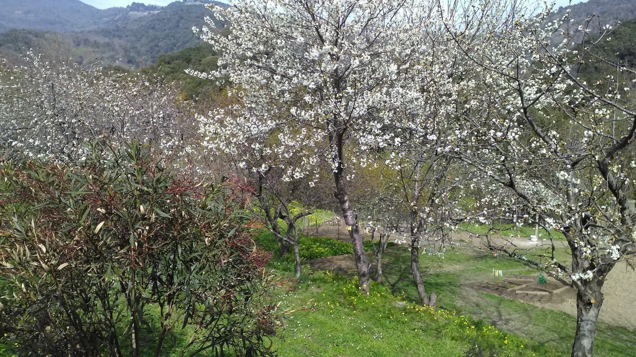 Photo of Others in Taglio-Isolaccio