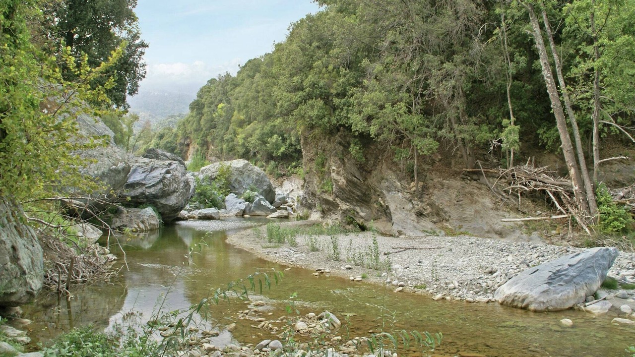 Photo of Others in Taglio-Isolaccio