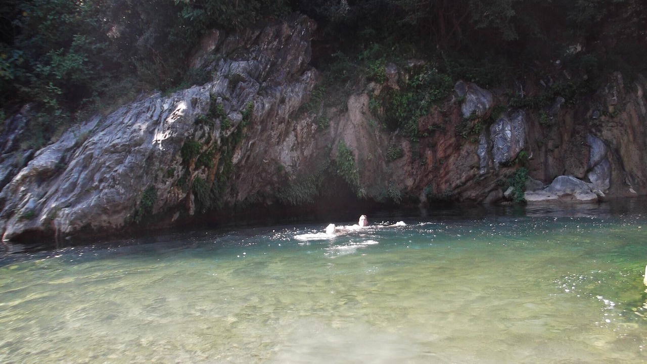 Photo of Others in Taglio-Isolaccio