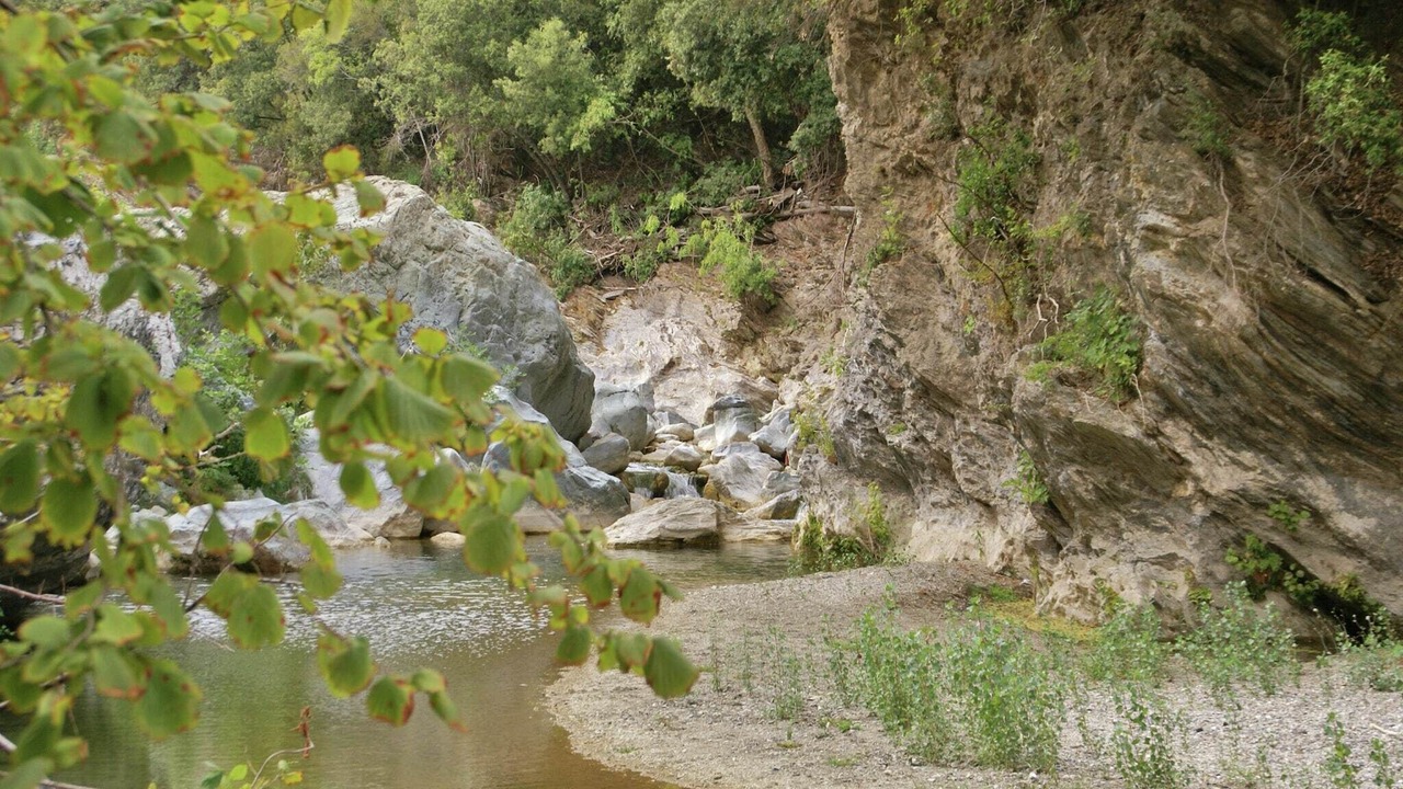 Photo of Others in Taglio-Isolaccio