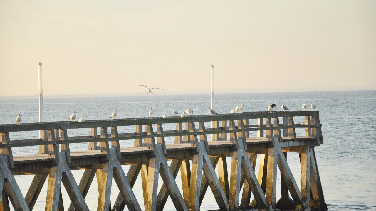 Photo of Others in Saint-Germain-du-Pert