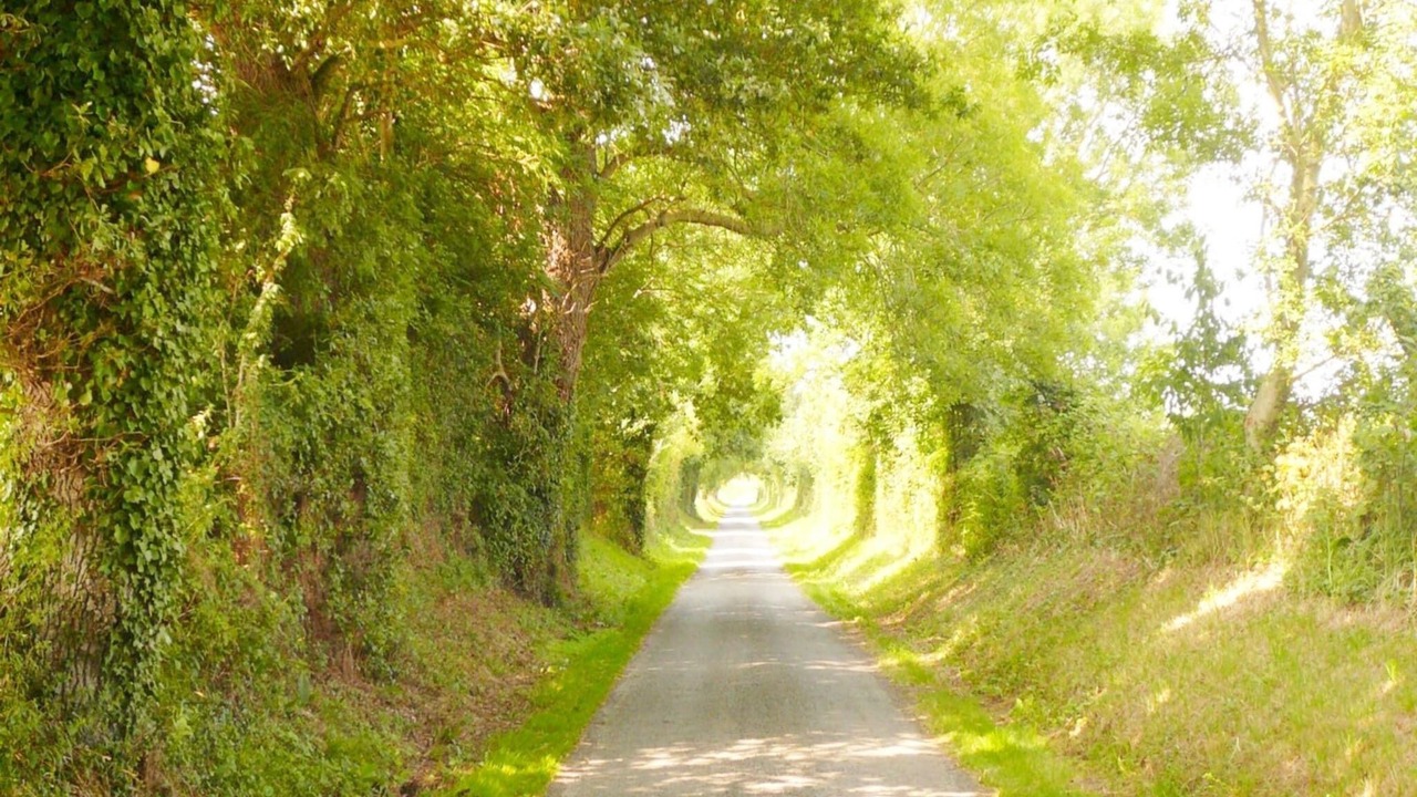 Photo of Others in Saint-Germain-du-Pert