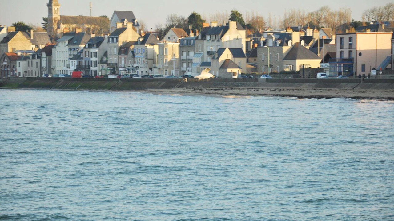 Photo of Others in Saint-Germain-du-Pert