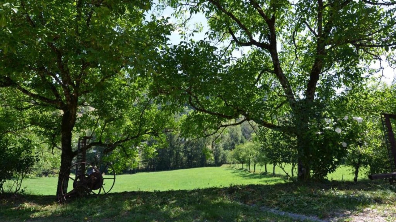 Photo of Others in Muret-le-Chateau