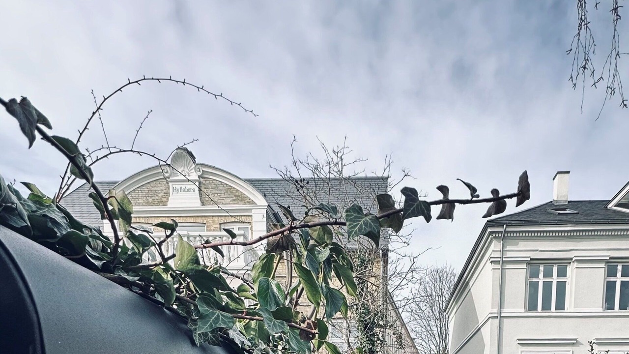 Photo of Outdoor in Frederiksberg