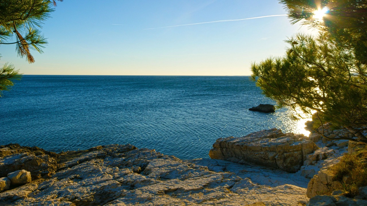 Photo of Others in Nedescina