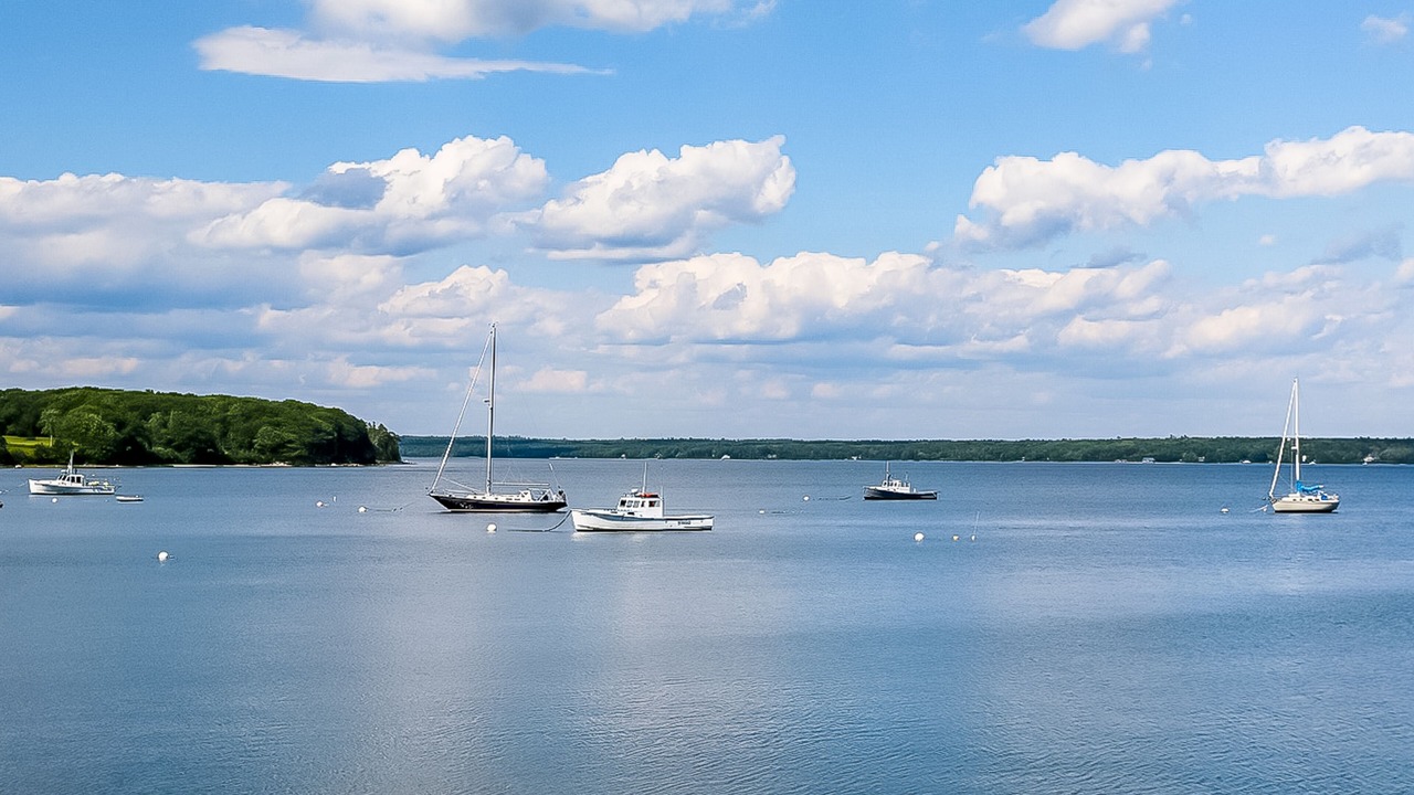 Photo of Others in Surry