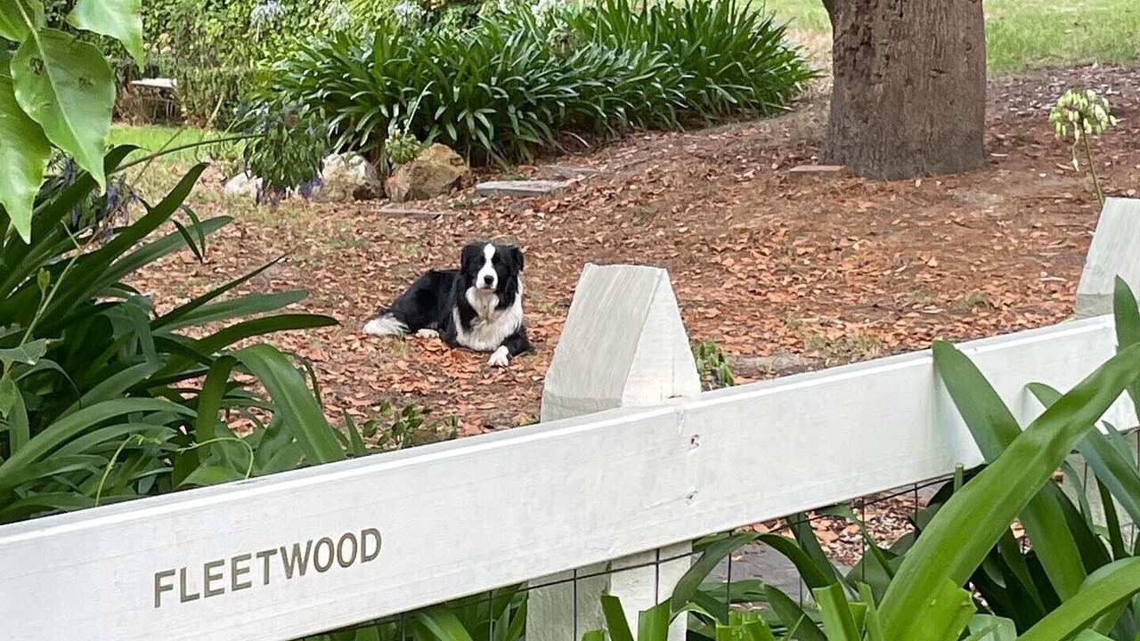 Photo of Outdoor in Mylor