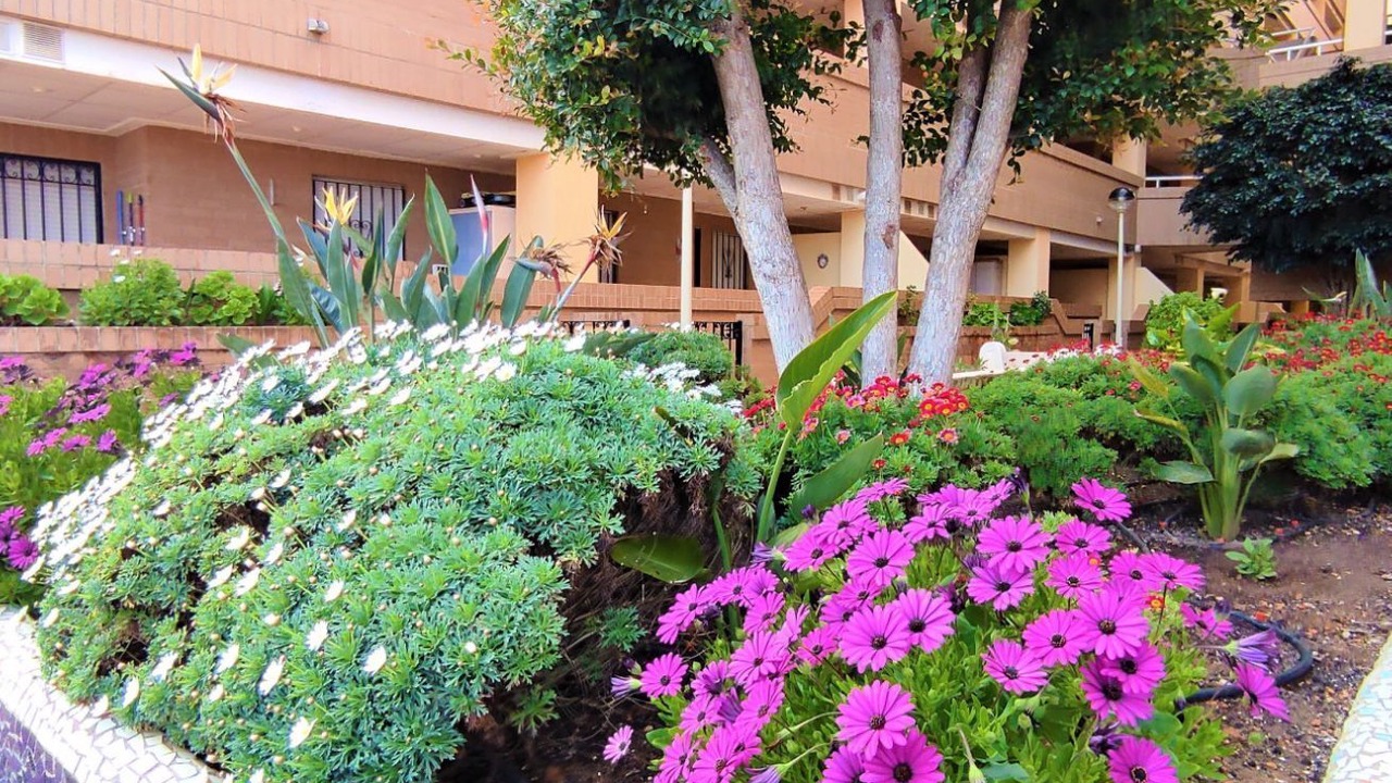 Photo of Outdoor in Marina d'Or