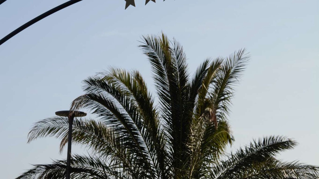 Photo of Outdoor in Jullouville-les-Pins