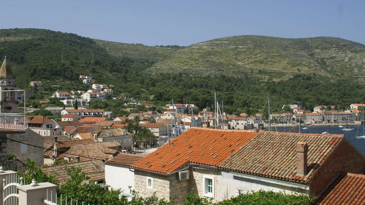 Photo of Others in Vis