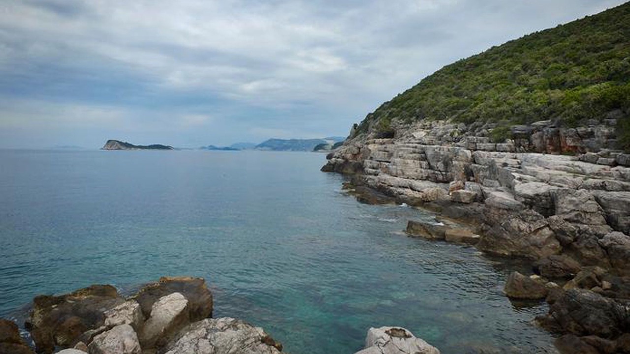 Photo of Others in Mocici