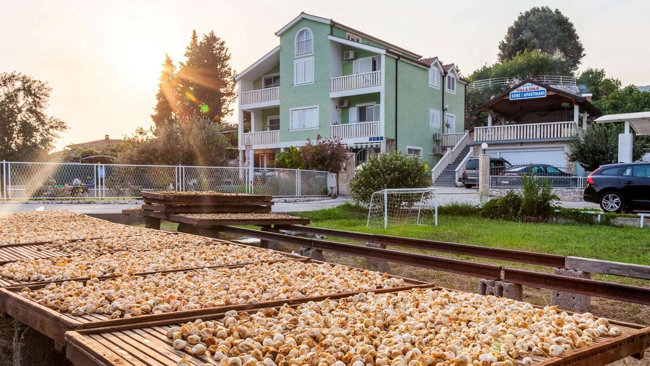 Photo of Outdoor in Peracko Blato