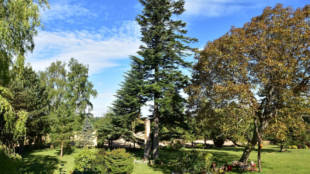 Photo of Outdoor in Saint-Sauveur-Lendelin