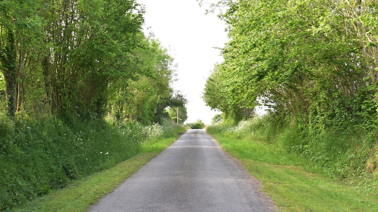 Photo of Others in Saint-Sauveur-Lendelin