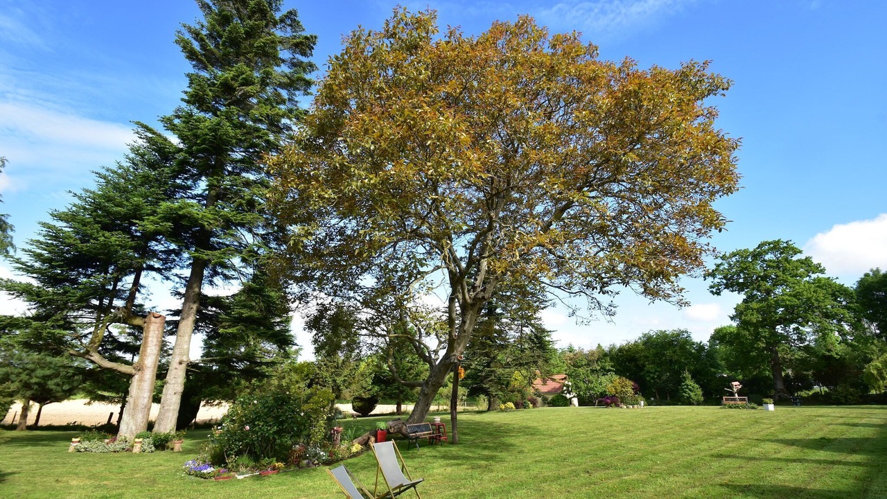Photo of Outdoor in Saint-Sauveur-Lendelin