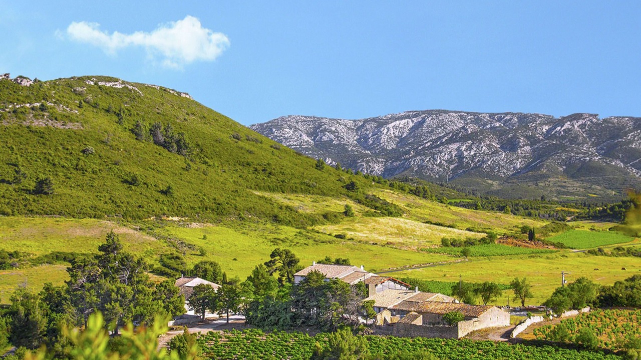 Photo of Others in Villeseque-des-Corbieres