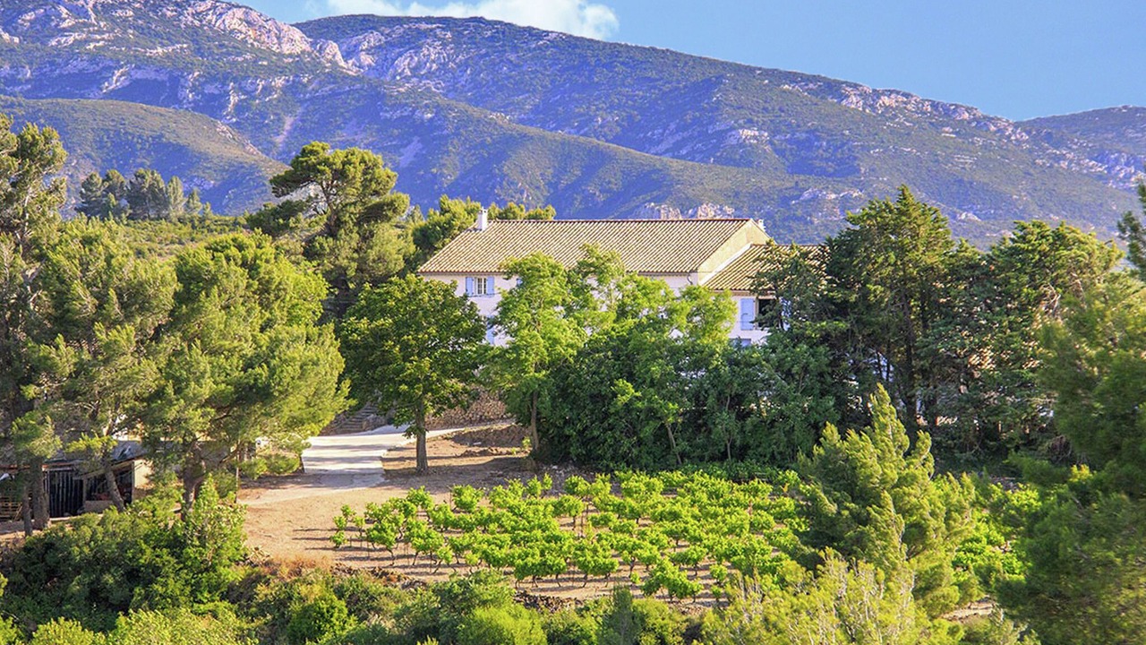 Photo of Others in Villeseque-des-Corbieres