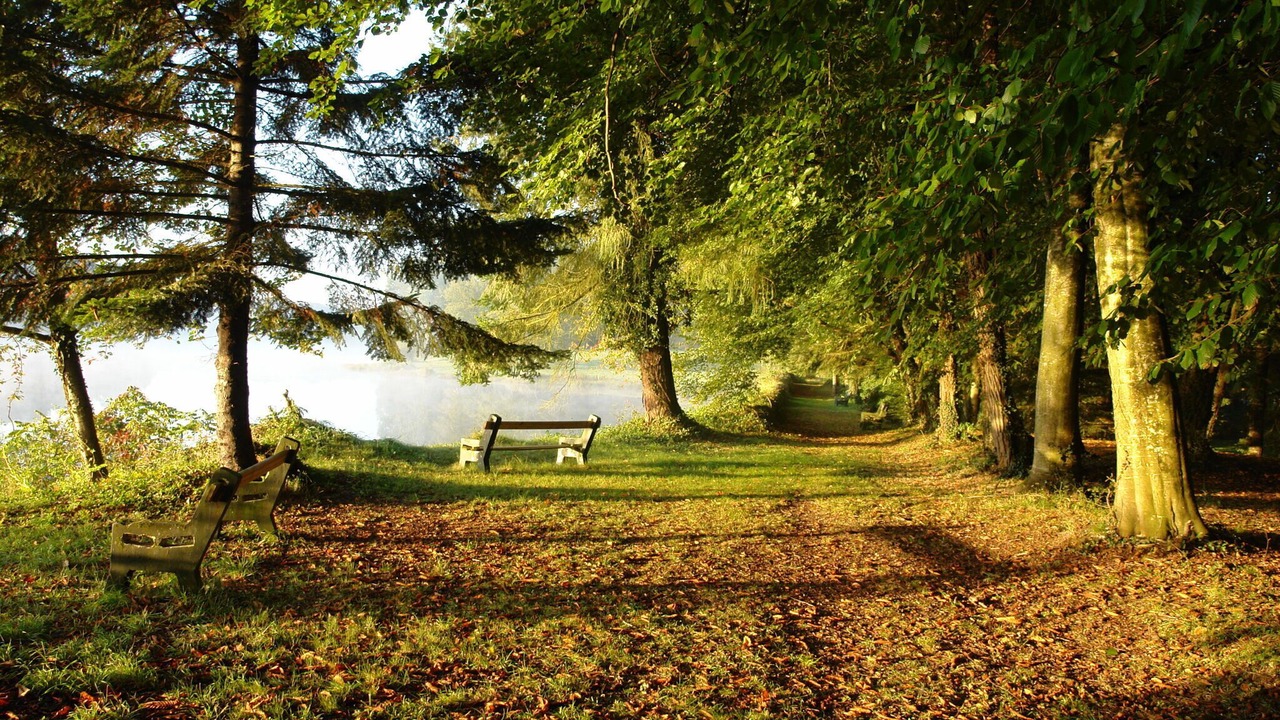 Photo of Others in Chateau-sur-Allier