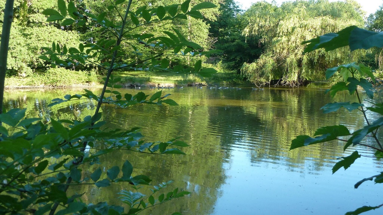 Photo of Others in Chateau-sur-Allier