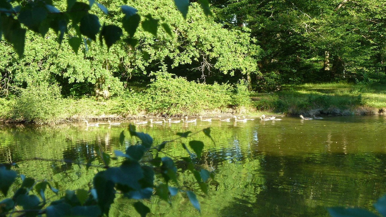 Photo of Others in Chateau-sur-Allier