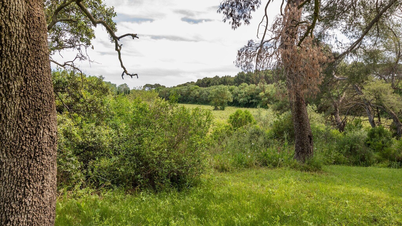 Photo of Outdoor in Meze
