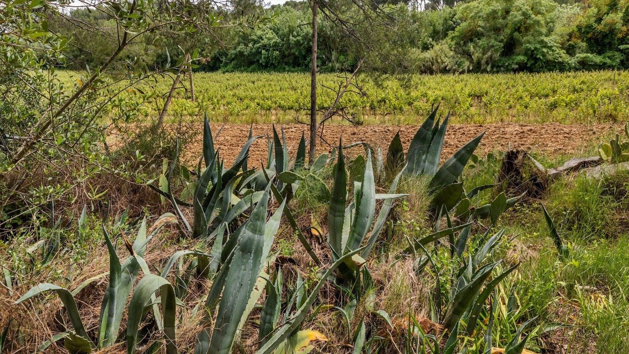 Photo of Outdoor in Meze