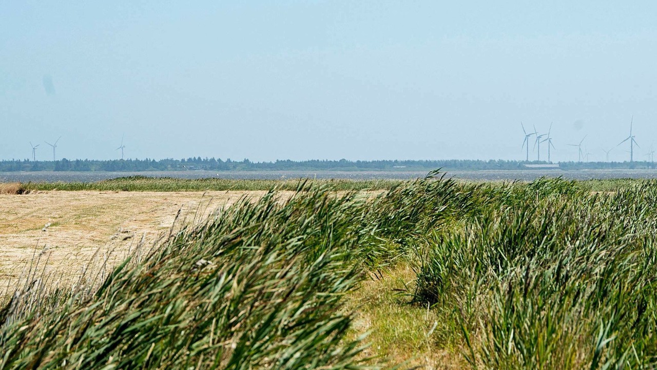 Photo of Others in Thorsminde
