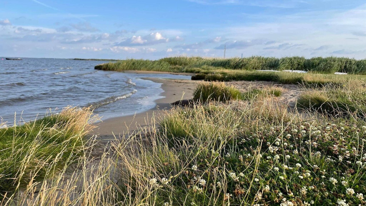 Photo of Others in Thorsminde