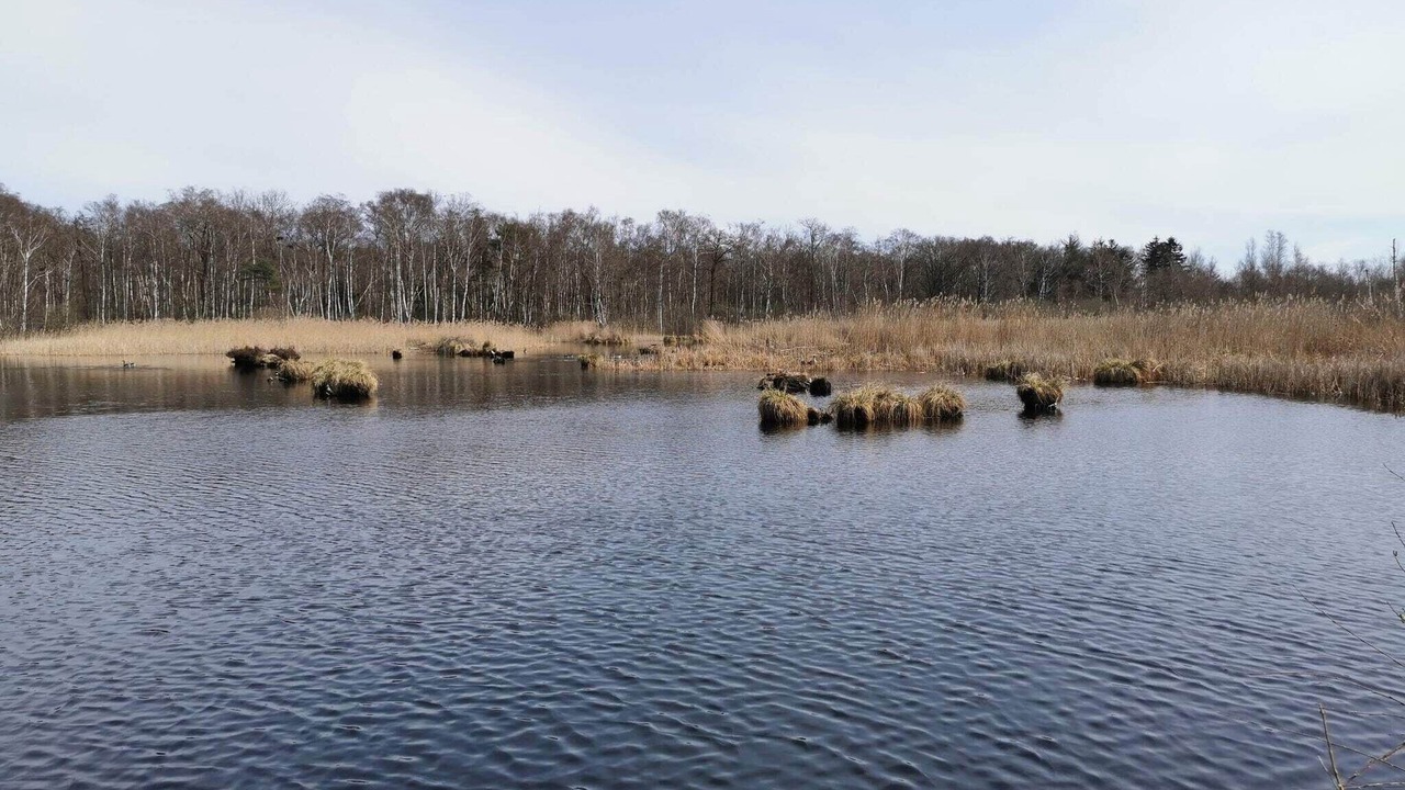 Photo of Others in Kongsnæs