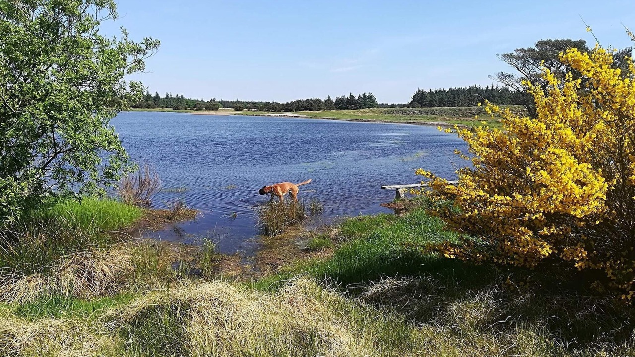 Photo of Others in Grærup Strand