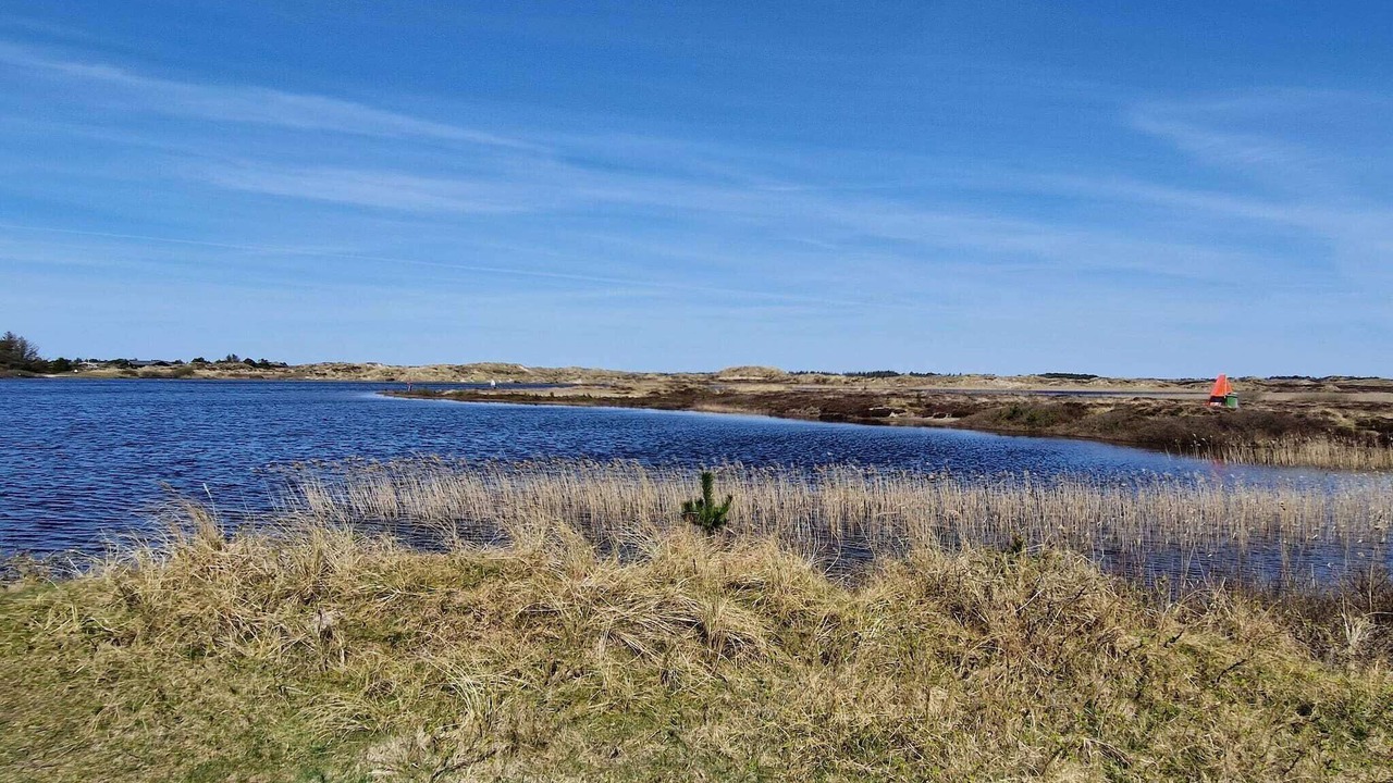 Photo of Others in Grærup Strand