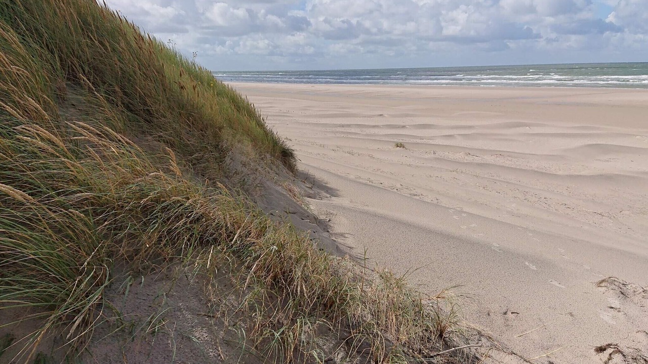 Photo of Others in Grærup Strand