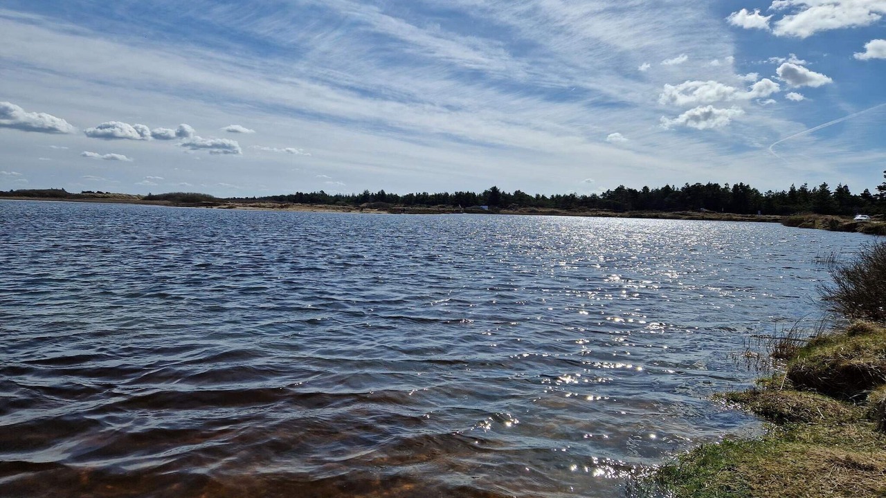 Photo of Others in Grærup Strand