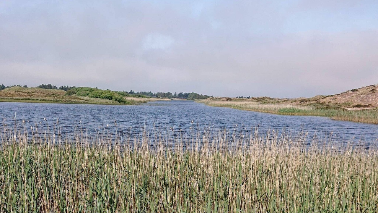 Photo of Others in Grærup Strand