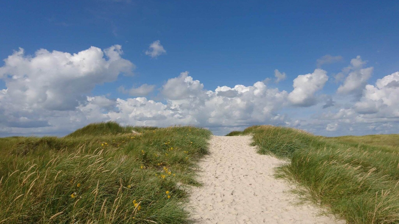 Photo of Others in Grærup Strand
