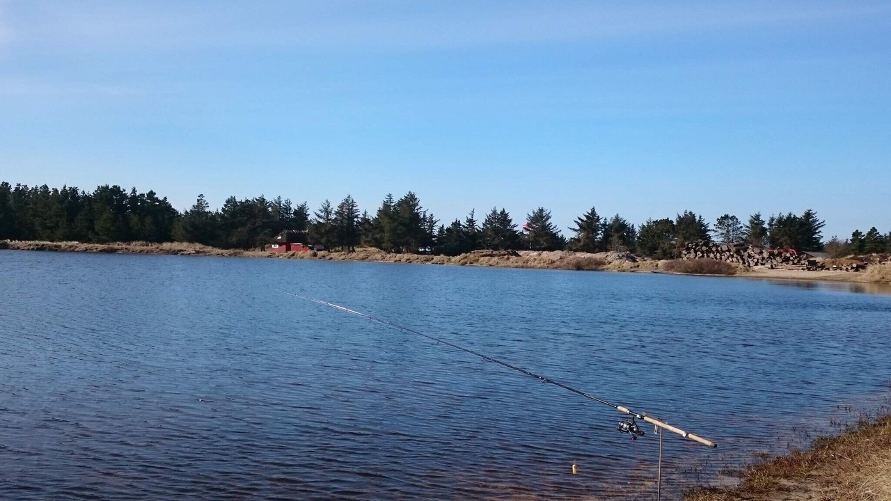 Photo of Others in Grærup Strand